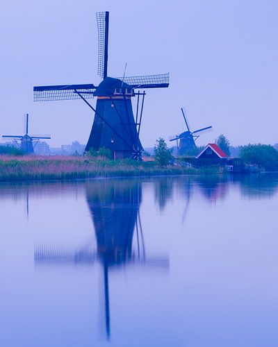Een vroege ochtend bij de Kinderdijk