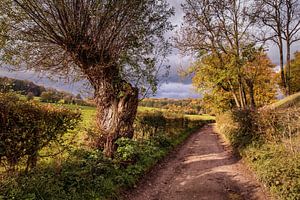 Gerendaler Waldweg von Rob Boon