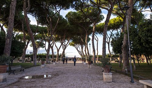Orange garden in Rome