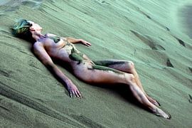 Alles im grünen Bereich von Vincent van Thom