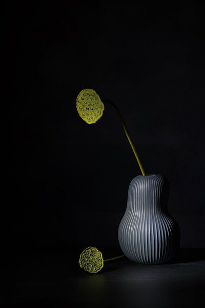 Stilleven met lotus harten . van Saskia Dingemans Awarded Photographer