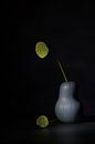 Stilleven met lotus harten . van Saskia Dingemans Awarded Photographer thumbnail