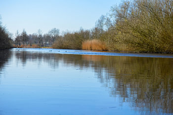 Ein ruhiger See mit Spiegelungen an einem klaren Frühlingstag