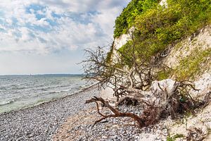 Kreidefelsen an der Küste der Ostsee auf der Insel Rügen