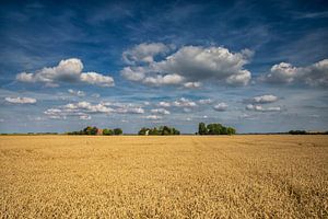Oostwolderpolder / Lutje Loug
