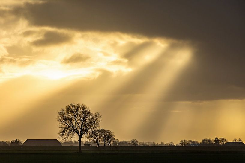 Polderlandschap Groningen van P Kuipers