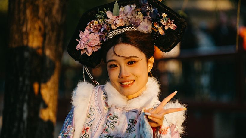 Portrait of a woman in traditional Qing dynasty by Diederik De Mezel