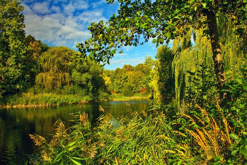 Herbstbeginn am See von Holger Felix