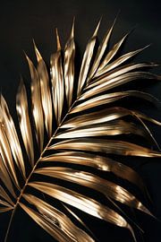 Golden palm leaves by Poster Art Shop