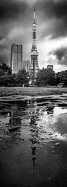 Tokio Tower, Japan, zwart-wit