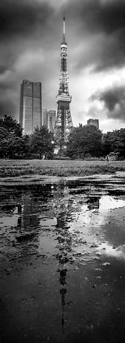 Tokyo Tower, Japan, black and white