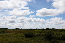 Pictures of the North Sea island of Borkum. by Bianca Meyering Fotos - BMF