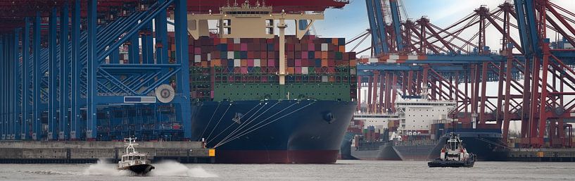 Porte-conteneurs dans le port avec remorqueurs et grues portuaires par Jonas Weinitschke