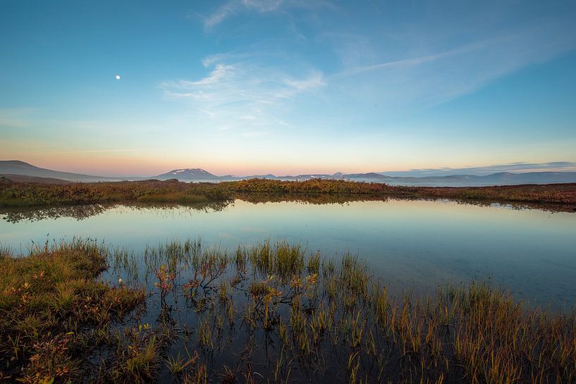 A perfect morning by Marc Hollenberg