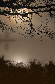Boom in mist 002