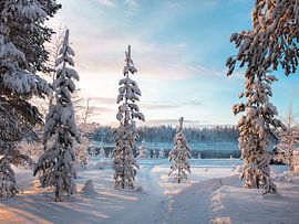 Sunrise in Winters Lapland by Duane Wemmers