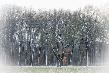 Winter Trees van Tonko Oosterink
