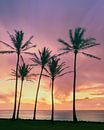 Lever de soleil sur la plage de Kapaa, Kauai, Hawaii par Henk Meijer Photography Aperçu