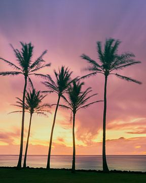 Sunrise Kapaa Beach, Kauai, Hawaii