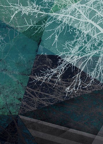 P19-E2 BOMEN EN DRIEHOEKEN