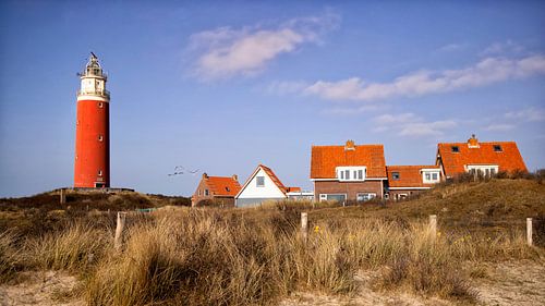 Eierland, de Texelse vuurtoren. van Alida Stuut