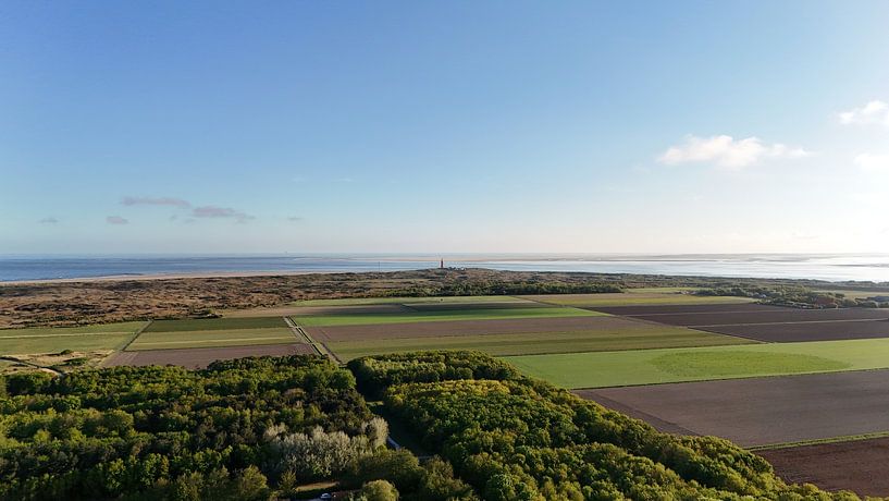 Texel von Photographico Magnifico