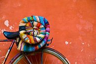 Fahrrad mit bunter Wolldecke von Nico van der Vorm Miniaturansicht