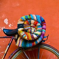 Bold colors