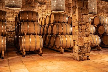 Tonneaux de vin dans la cave sur Thomas Riess
