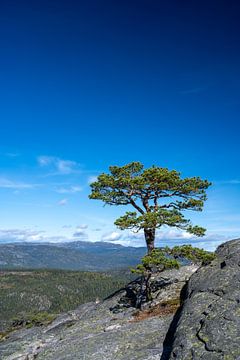 Lonely at the top at Gygrestolen by Gerry van Roosmalen