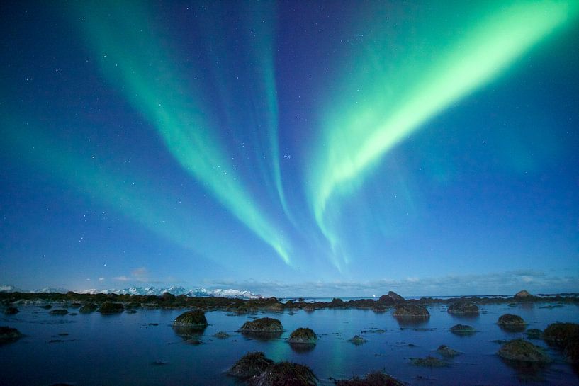 Noorderlicht magie in noord Noorwegen von Peter van der Horst