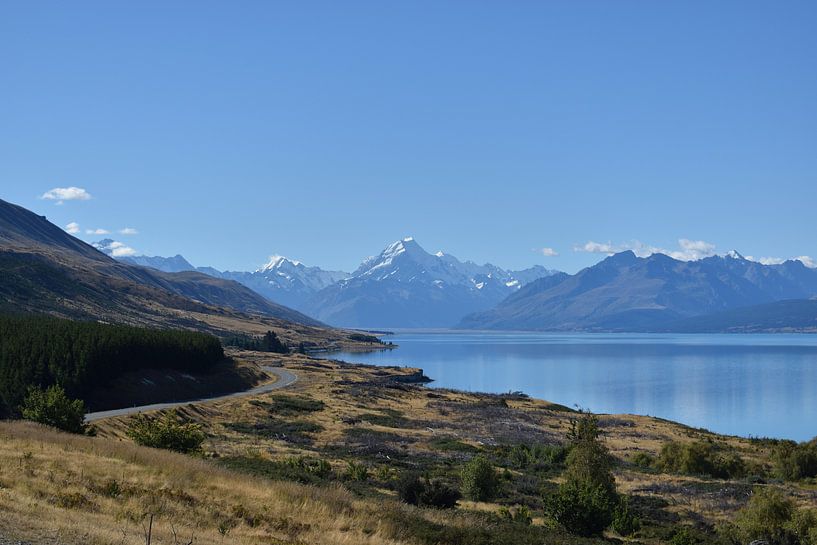 Mt Cook, Nieuw-Zeeland, onvergetelijk landschap. von Sebastiaan van Soest