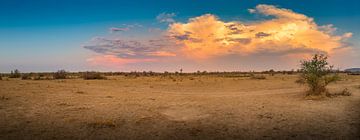 Storm in the Bush