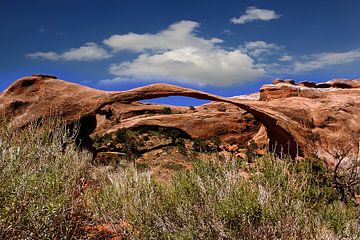 Arches National Park by Renate Knapp