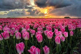 Breaking through the sunset by Costas Ganasos