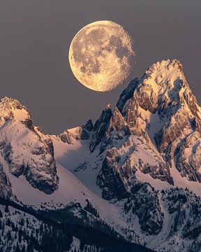 Nachtelijke hemel: Zwitsers Alpenpanorama van fernlichtsicht