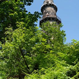 A stone tower in the heart of the green forest by Adriana Müller