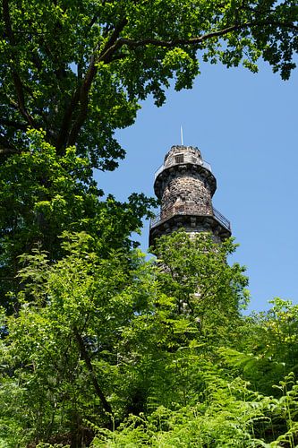 Stenen toren midden in het groene bos
