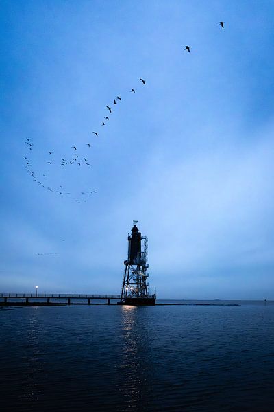 Leuchtturm Obereversand an der Nordsee von Nils Steiner