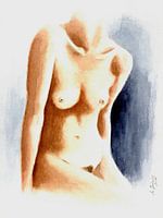 Mooie vrouwelijke torso
