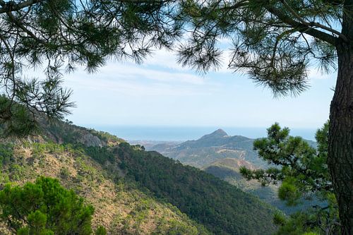 Uitzichtfoto onderweg naar Ronda, Andalusië, Spanje