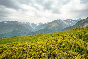 Georgische Berge