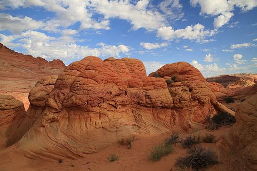 Rotsformaties in de North Coyote Buttes, deel van het Vermilion Cliffs National Monument. Dit gebied