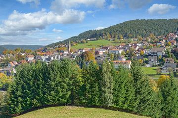 Baiersbronn in the Black Forest by Peter Eckert