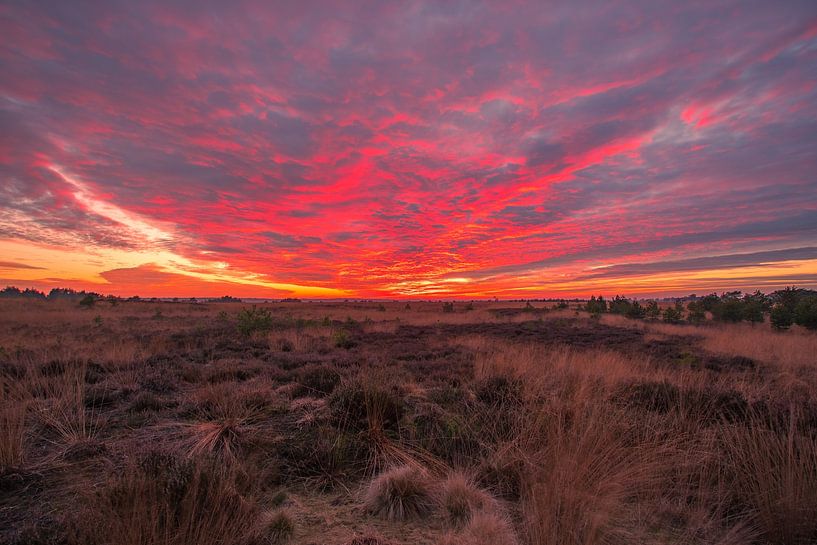 Zonsondergang National park Veluwe van Lisa Antoinette Photography