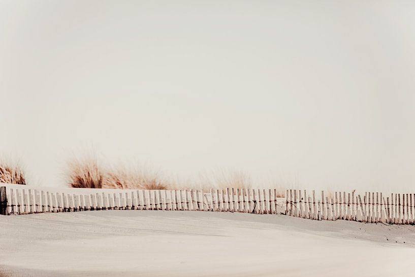 Cashmere Beige Dunes by Monika Strigel