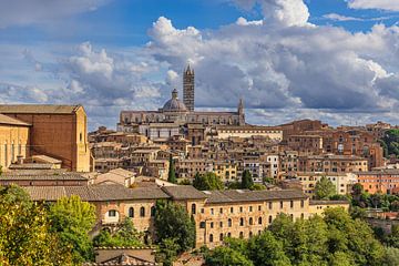 Uitzicht over de oude stad van Siena in Italië van Rico Ködder