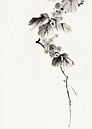 Japanese art. Berry branch by Katsushika Hokusai. Vintage painting by Dina Dankers thumbnail