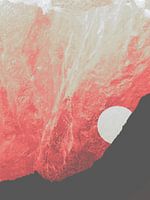 Red Cosmos