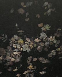 Autumn Symphony by Mariëtte Aernoudts